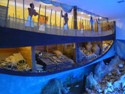 Музей подводной археологии